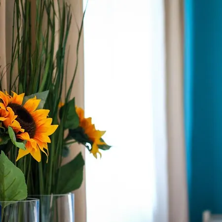 Lägenhet Fratelli Summerland *